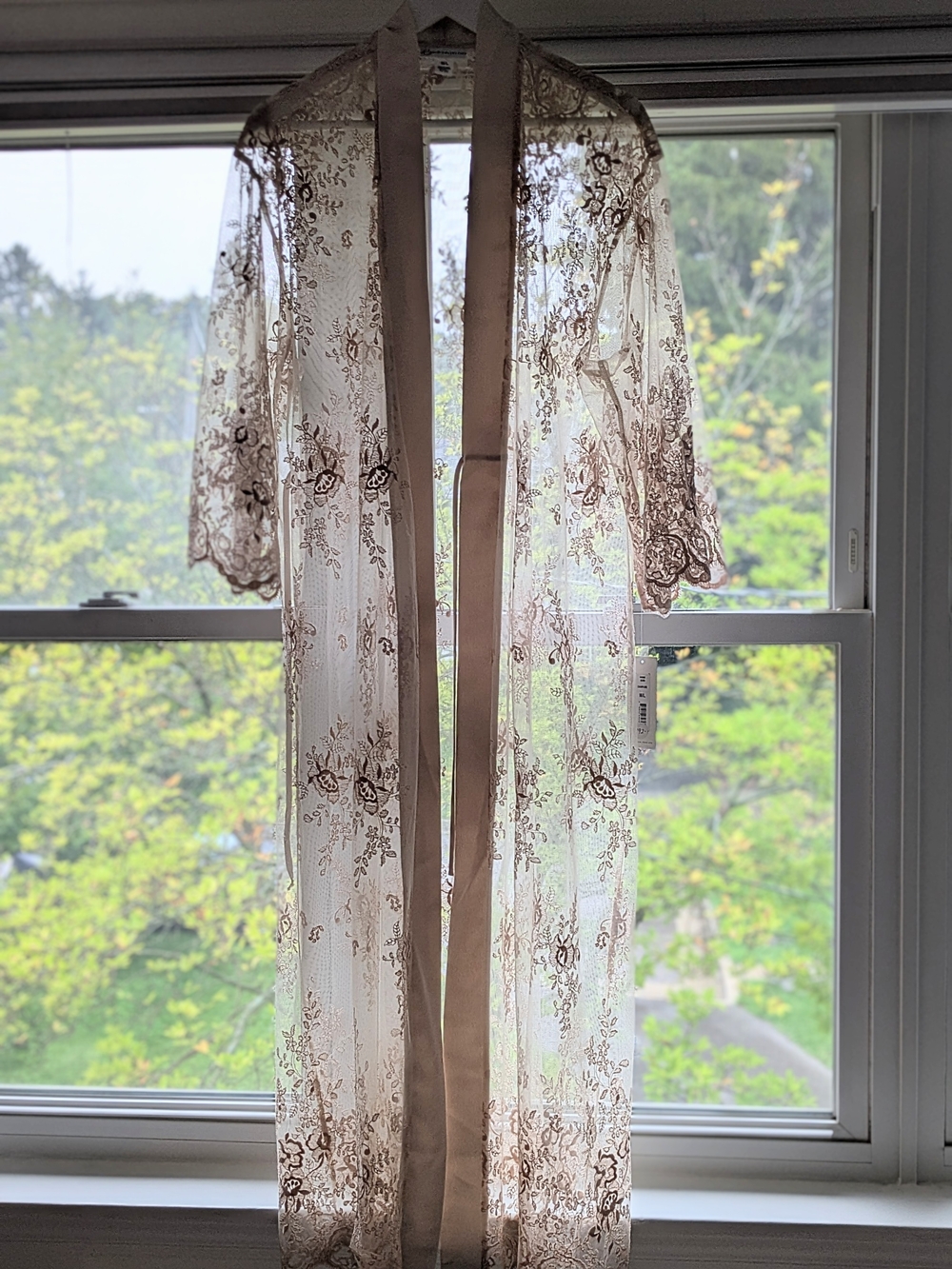 Sheer Lace Embroidered Robe M/L - Picture 2 of 2